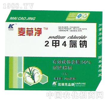 2��4���c-���݃�-�P���