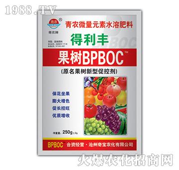 250g����ٿ؄�BPBOC-�挚�r(n��ng)��