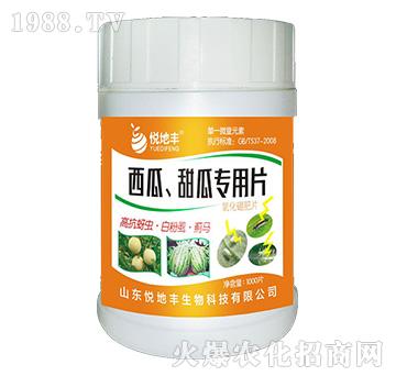 ���ϡ���ό���Ƭ��һ��һƬ��-�����S