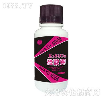 �����K2SiO3-�Z��