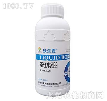 ���w��-����