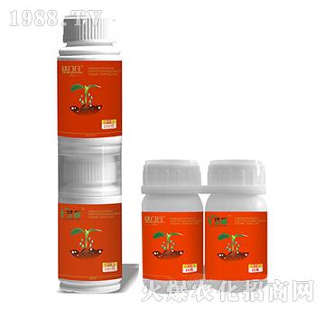 5%���x(ch��ng)��+10%��Ч�������-���+�F�T�V-��ֲ��