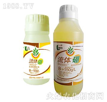 ���w��-��������