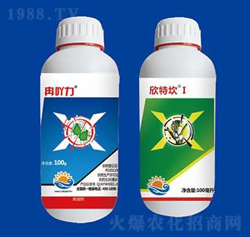 �������x(ch��ng)�M�� ��Ƚ���W(xu��)