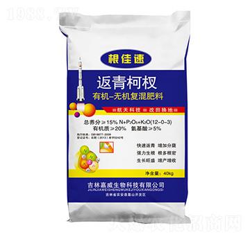 �������ЙC(j��)�o(w��)�C(j��)��(f��)�����-������-�߿���