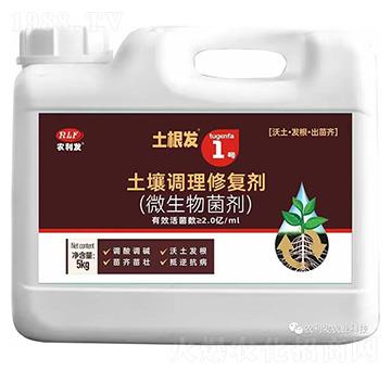 �����{(di��o)���ޏ̈́�(΢�������)-�����l(f��)1̖-�r(n��ng)���l(f��)