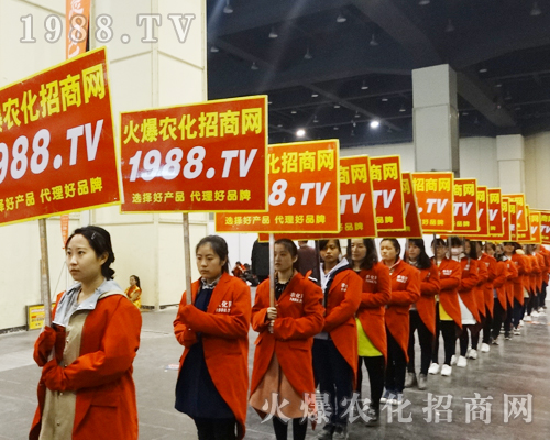     2017����ԭ���ϕ���1988.TV�����������ݲ��ɓ�