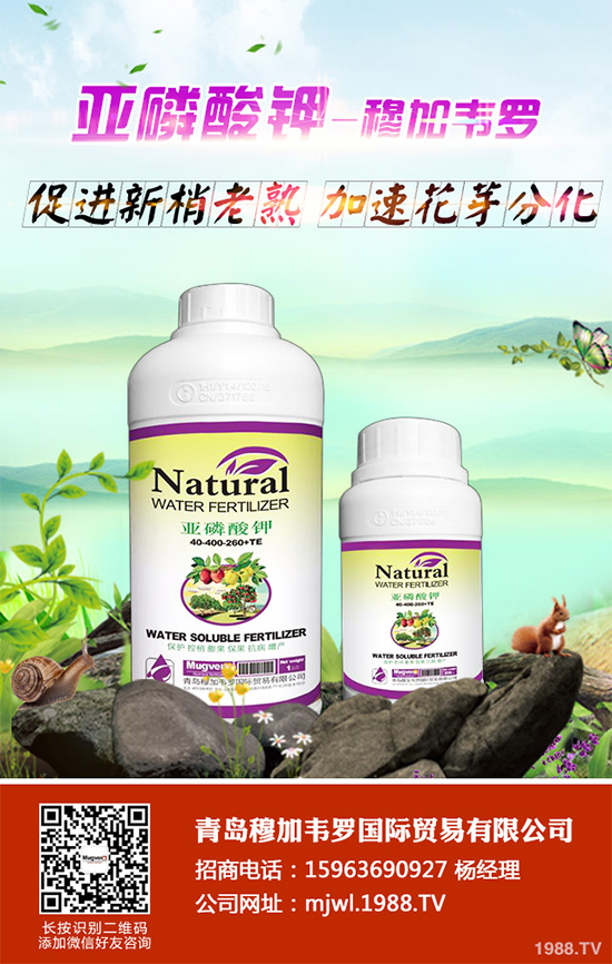 甘藍(lán)軟腐病有哪些癥狀表現(xiàn)？是如何發(fā)生的？甘藍(lán)軟腐病預(yù)防措施