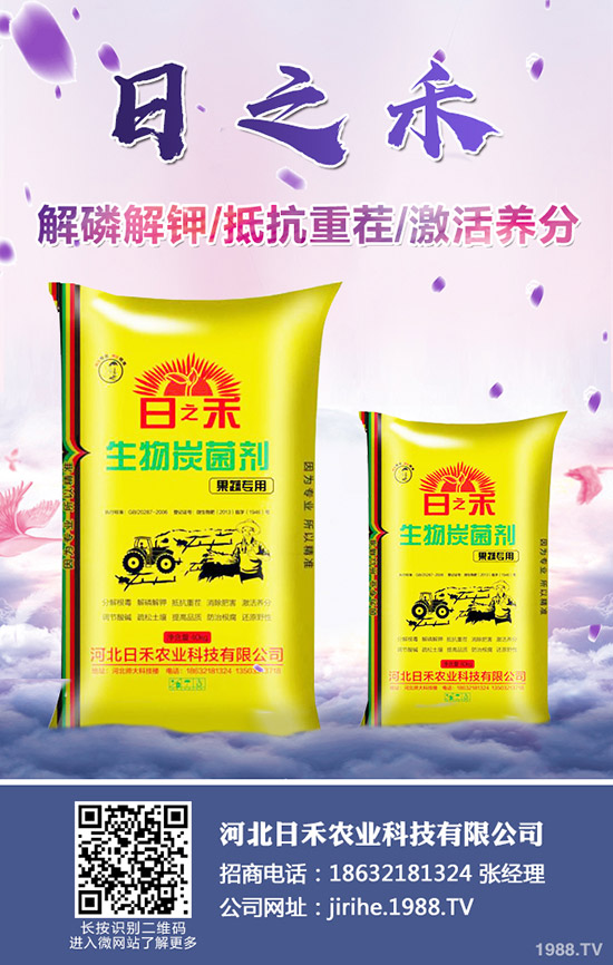 2019小麥?zhǔn)裁磿r(shí)候種植，小麥種植注意要點(diǎn)！