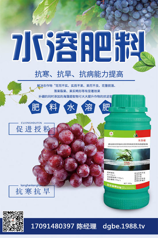 甘藍黑斑病危害這么大，到底該如何防治？快來看看吧！