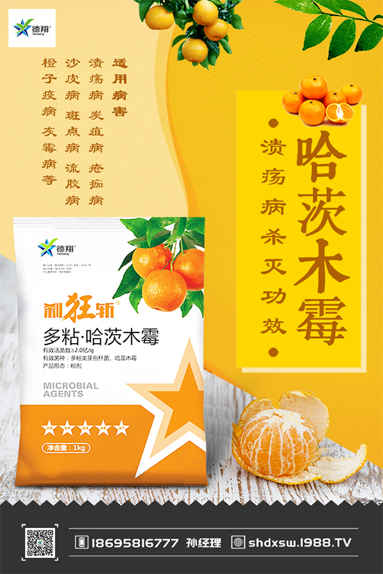 甘藍黑斑病危害這么大，到底該如何防治？快來看看吧！