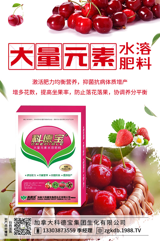 反季節(jié)種金針菇如何培育,反季節(jié)金針菇培育方法!