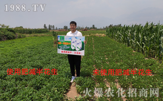     好產(chǎn)品用事實(shí)說話，“肥減半”用過的農(nóng)戶都說好！