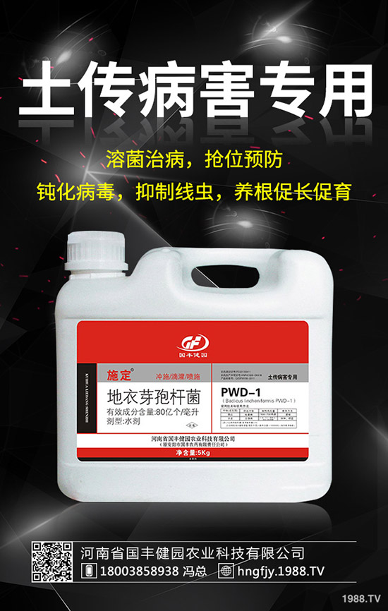 С�����݄�ʲô�r(sh��)������С������݄��ĕr(sh��)�g��ע�����(xi��ng)��