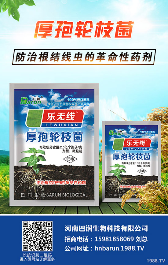 ����÷��ô�B(y��ng)������÷���B(y��ng)ֳ������ע�����(xi��ng)��