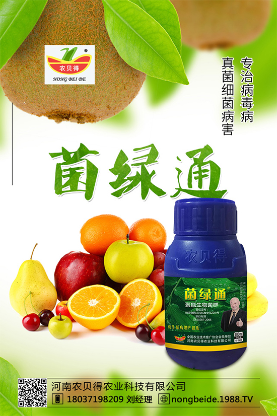 С��������_�x�N����֪������x�N�Ŀ��@����