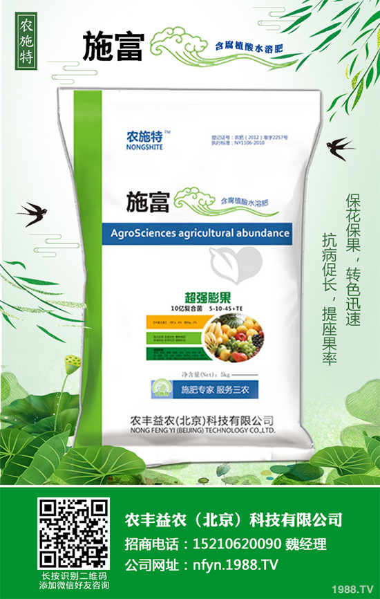 香蔥該如何栽培？秋茬香蔥高產(chǎn)技術要點