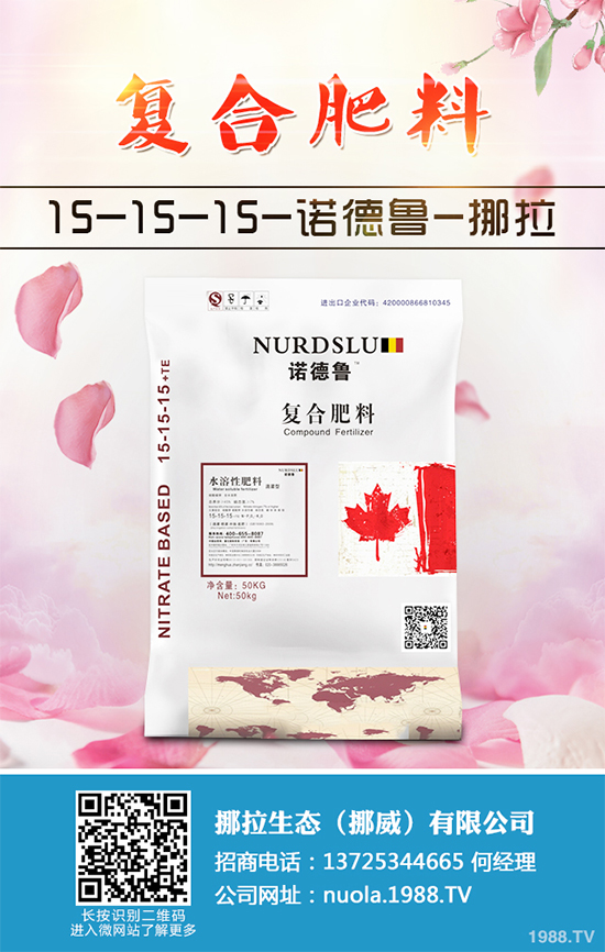 香蔥該如何栽培？秋茬香蔥高產(chǎn)技術要點