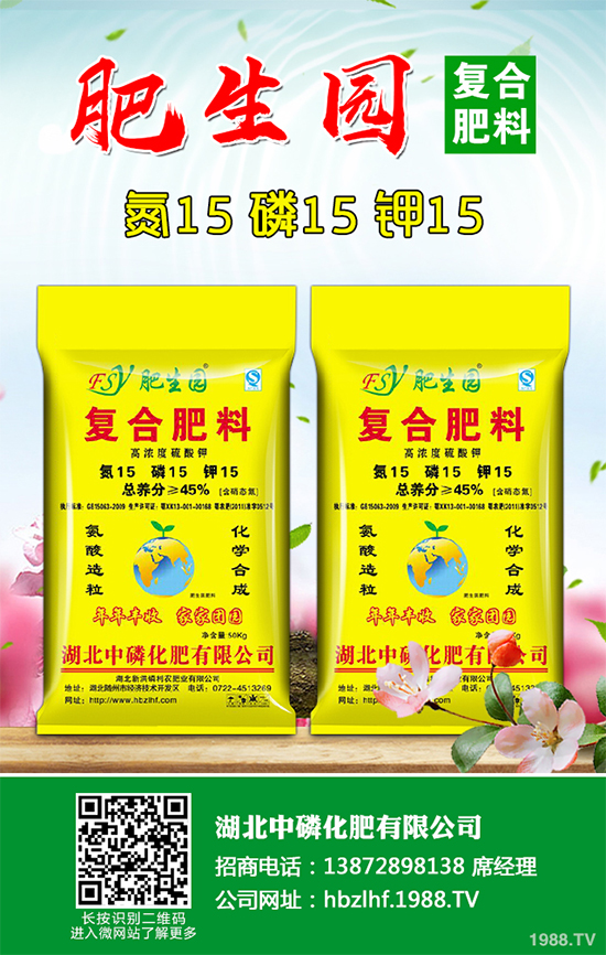 香菜如何施肥產(chǎn)量更高？秋茬香蔥高產(chǎn)施肥方案