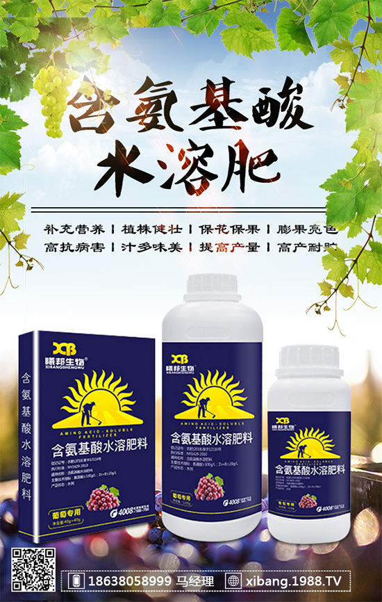 香蔥常見(jiàn)病害有哪些？香蔥病蟲(chóng)害防治技術(shù)大全