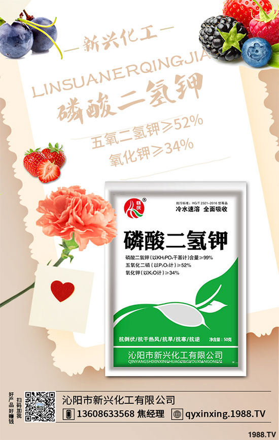 ���[�B��Σ����������ԓ��ν�Q�����[�B���ϵK���߮a(ch��n)�������g(sh��)��