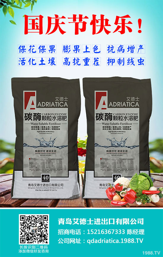 ���[�B��Σ����������ԓ��ν�Q�����[�B���ϵK���߮a(ch��n)�������g(sh��)��