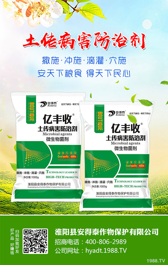 白蘿卜的功效與作用，白蘿卜營養(yǎng)價值！