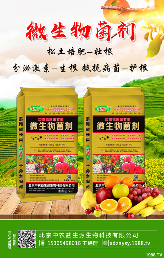     荷蘭豆秋季能種植么？畝產(chǎn)利潤如何？荷蘭豆種植管理技術(shù)！