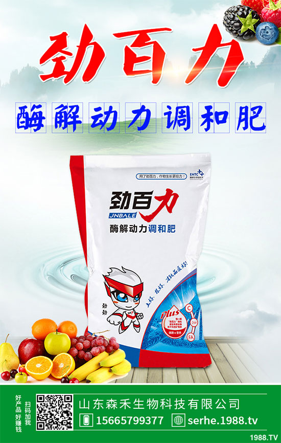 小白菜該怎么播種？秋茬小白菜高產(chǎn)栽培技術(shù)