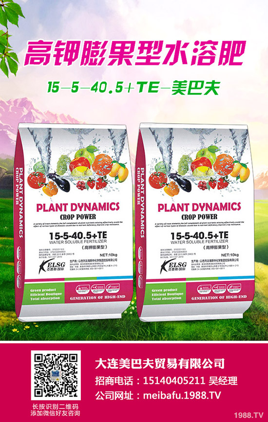     2019��10����Ѯ���������Ј������߄��A�y