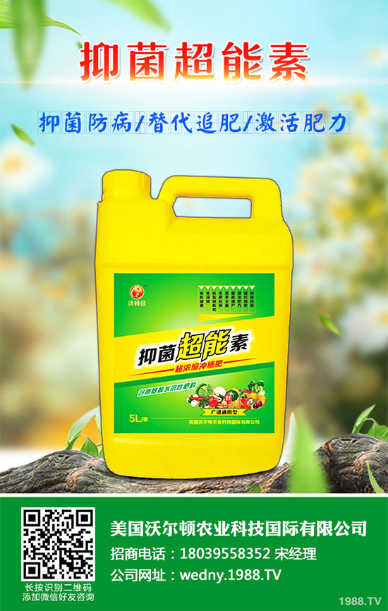 С�ײ������װ߲�ԓ��ô�k���ײ˰װ߲����δ�ʩ