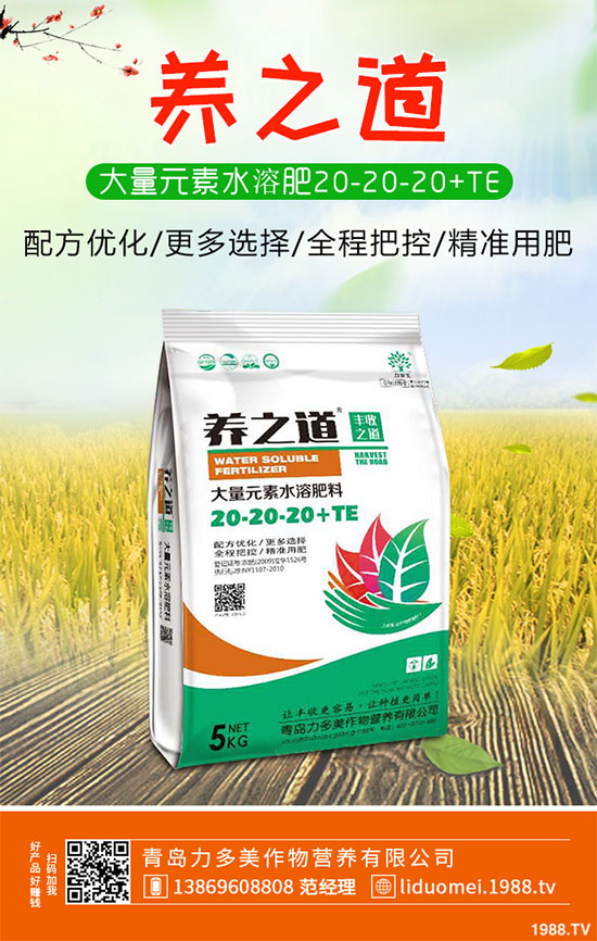 �ײ˰��P��Σ���@ô��������ԓ��η������ײ˰��P�����δ�ʩ