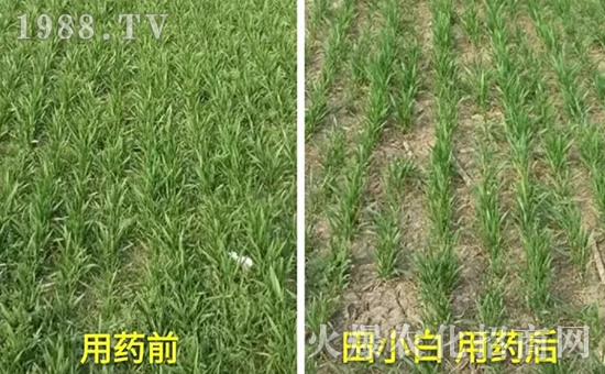 ��(ji��)��(ji��)����η�������ʲôˎ����ô��ˎЧ������