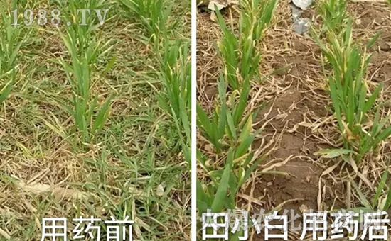 ��(ji��)��(ji��)����η�������ʲôˎ����ô��ˎЧ������