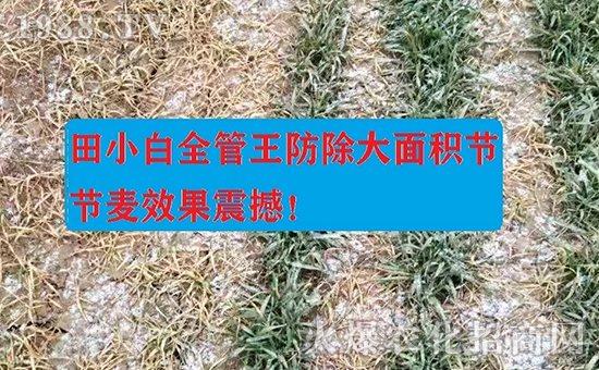 ��(ji��)��(ji��)����η�������ʲôˎ����ô��ˎЧ������