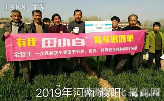 39��(ji��)��(ji��)����η�������ʲôˎ����ô��ˎЧ������