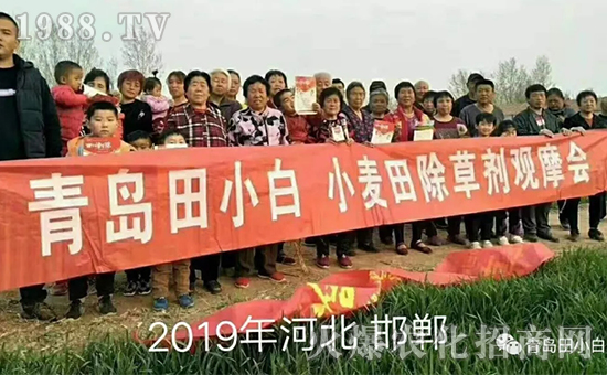 ��(ji��)��(ji��)����η�������ʲôˎ����ô��ˎЧ������