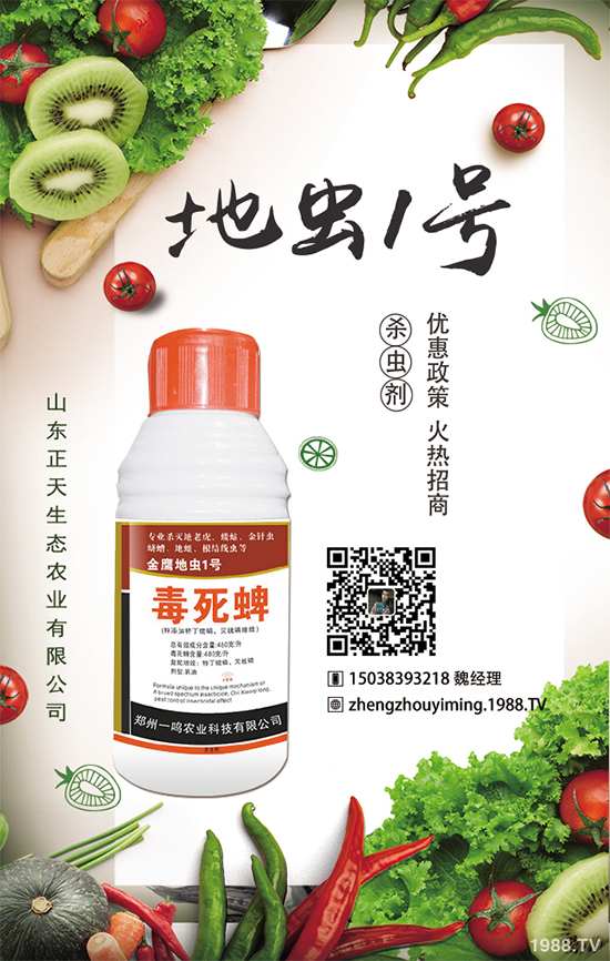 櫻桃蘿卜如何種植，櫻桃蘿卜需要注意什么？