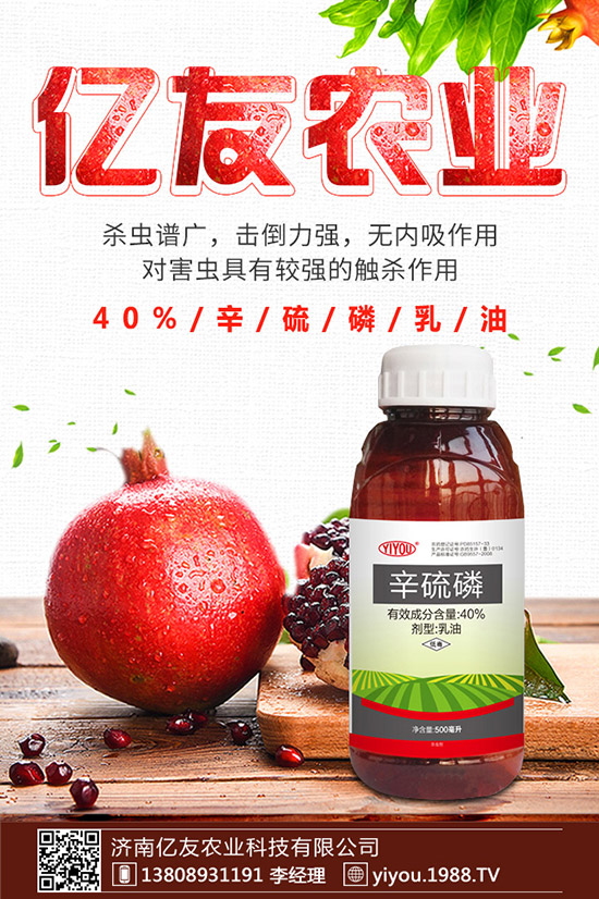 臘梅種子怎么種，臘梅種子種植方法！