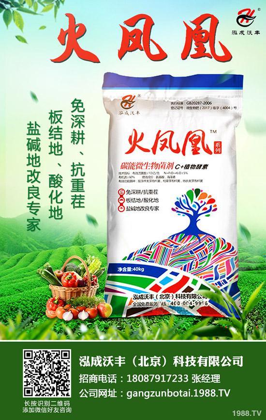     2019年10月23日：今日二銨價(jià)格日?qǐng)?bào)最新磷酸二銨企業(yè)出廠價(jià)