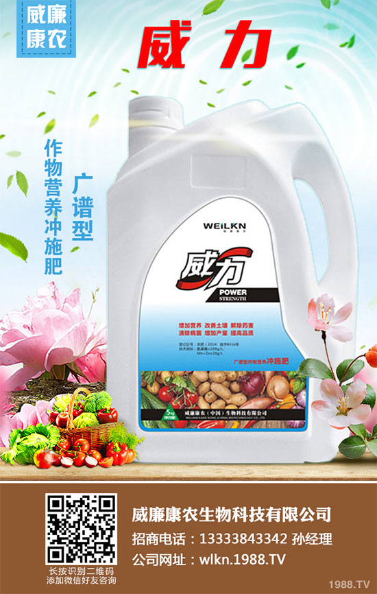 白菜干燒心有哪些危害？是如何引起的？白菜干燒心的防治措施