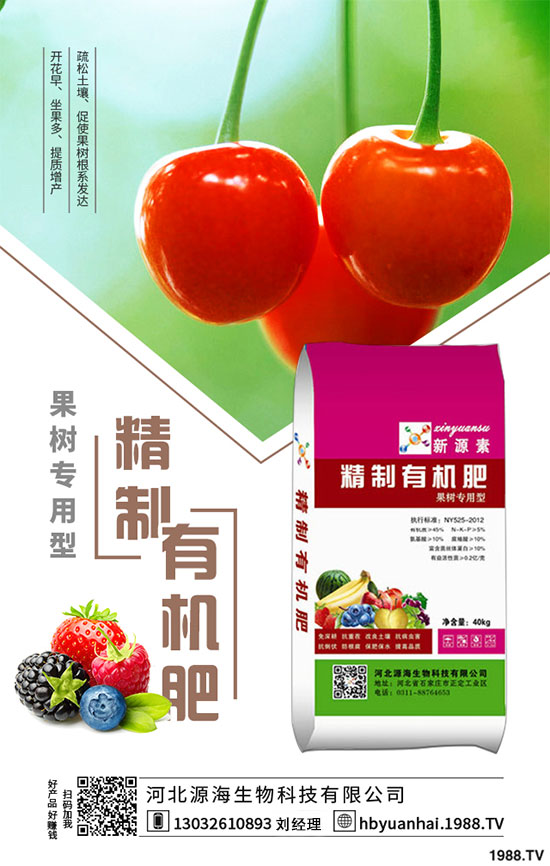 2020���㹽�Nֲǰ�������2020���㹽�Nֲٍ�X����