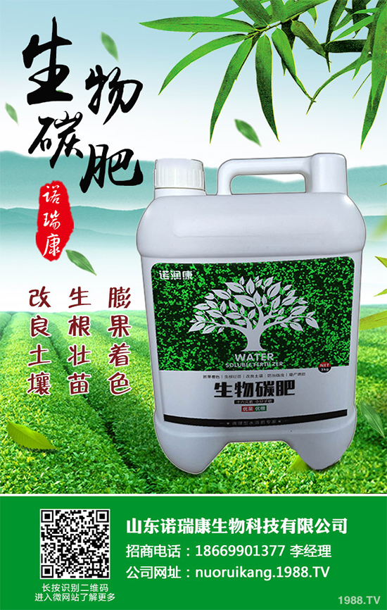 冬茬油麥菜該怎么種？掌握這幾點(diǎn)，輕松種出油麥菜！