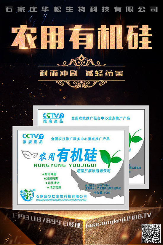 芹菜空心的原因是什么，如何預防芹菜空心？