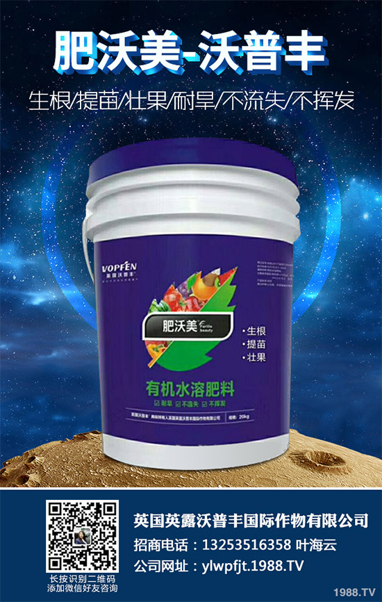     說起油麥菜，相信很多朋友都喜歡吃，不論是炒著吃，還是燙著吃油麥菜都有不一樣的風(fēng)味，油麥菜是我們常見的的蔬菜之一，油麥菜的營養(yǎng)價值略高于生菜，而遠(yuǎn)遠(yuǎn)優(yōu)于萵筍。那么，油麥菜的營養(yǎng)價值有哪些？吃油麥菜有哪些好處呢？