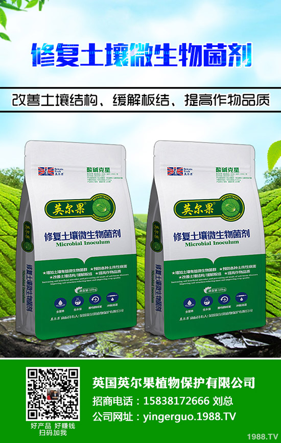 烯肟菌胺國家標準！如何選購？烯肟菌胺購買注意事項！