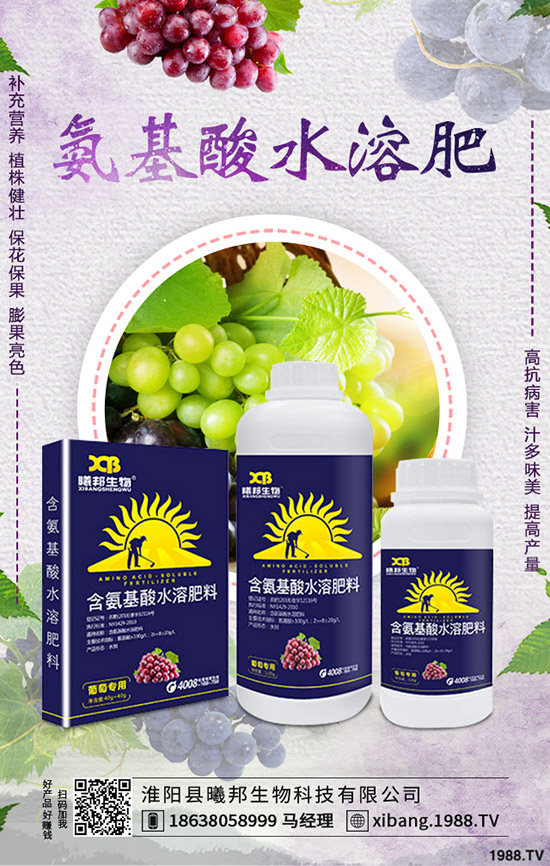 秋季蘿卜怎么種植，秋季蘿卜種植技術(shù)及栽培要點！