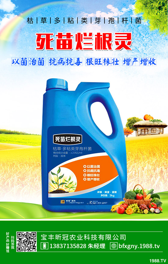 怎么種植羅漢果，羅漢果種植方法介紹！