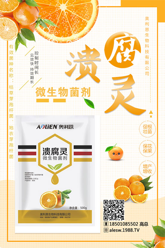 ����ʲô�r��N������Nֲ���g(sh��)���Nֲ�l��