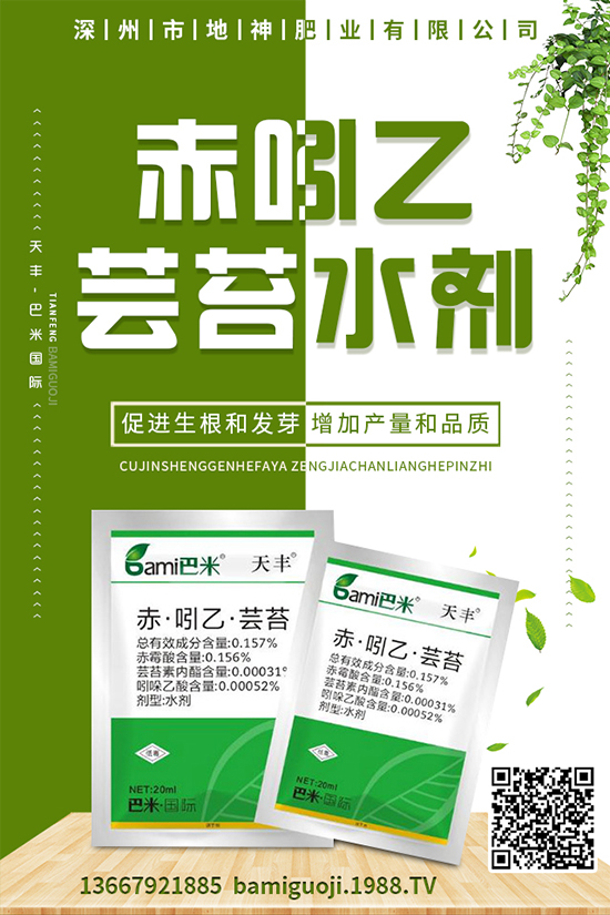 雞蛋果怎樣種植？雞蛋果種植技術(shù)及注意事項！